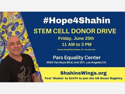 Plea for Donor Match 